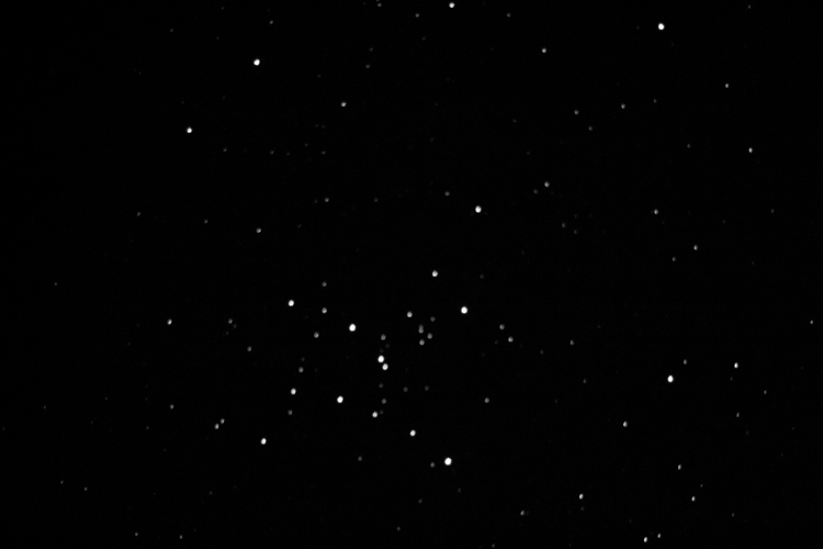 Ptolemy Cluster (M7)